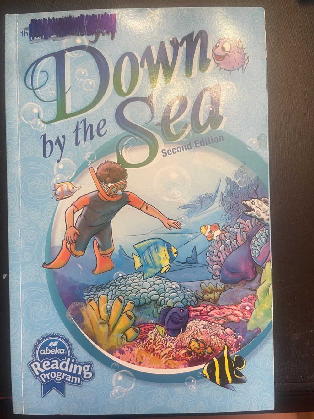 Abeka Down by the Sea Second Edition - Blue Kids Reading Book